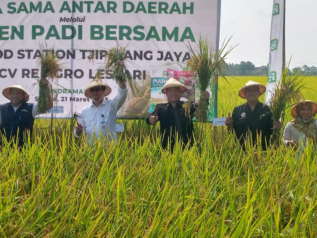 Potensi Pertanian pada Desa Babakan jaya