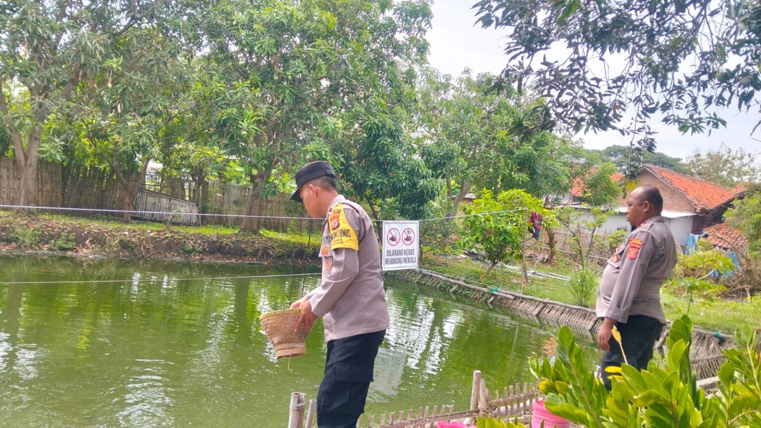 Polsek Krangkeng Manfaatkan Lahan Kosong Jadi Kolam Ikan Nila Dukung Ketahanan Pangan